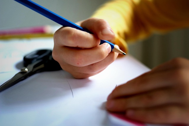 Linke kritisieren: Sozialarbeit in MTK-Schulen wird nicht weiterentwickelt