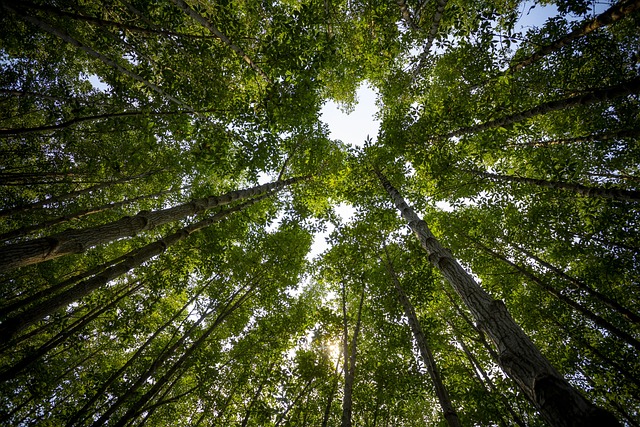 Für Kinder: Mit dem BUND die Natur entdecken