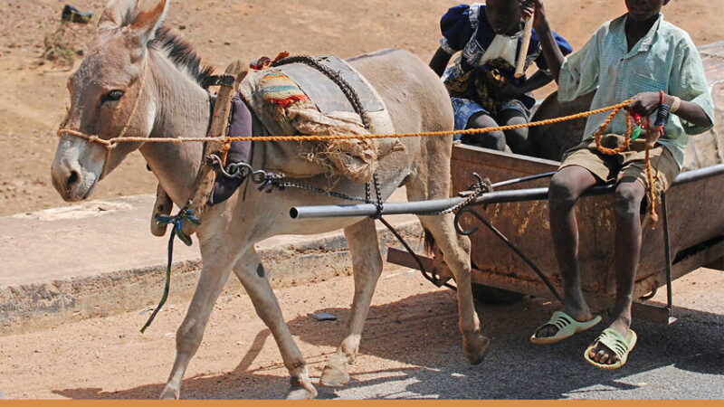 Zum 15. Geburtstag: Freundeskreis Hofheim-Tenkodogo lädt zum Fairen Frühstück