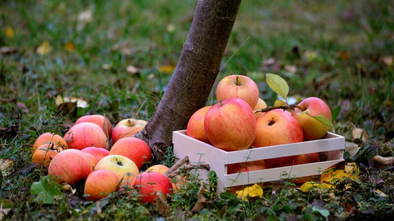 SPD besucht Wallau: Fraktion will geplanten Hallenbau nicht unterstützen