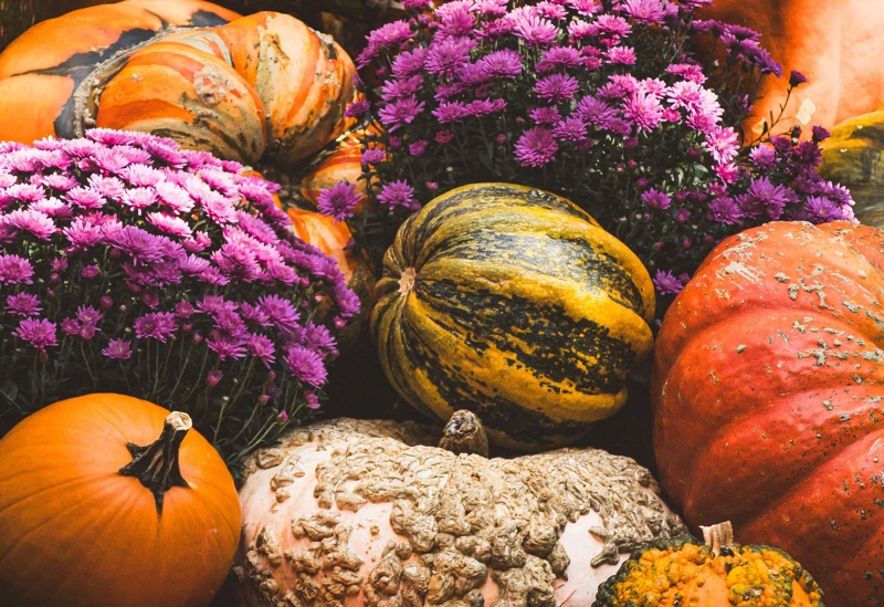 Frühstück für Frauen mit bunten Märchen rund um den Herbst