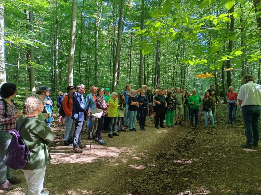 Waldspaziergang Ziesling Foto Anita Vogt