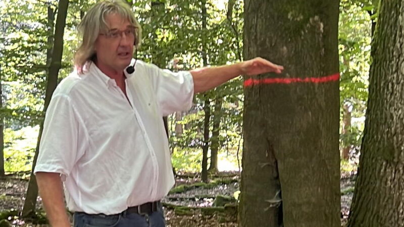2. Waldspaziergang: Volker Ziesling kritisiert Defizite und Verluste
