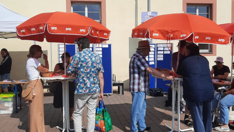SPD Hofheim im Bürgergespräch: Kitas, Inklusion und bessere Schulen