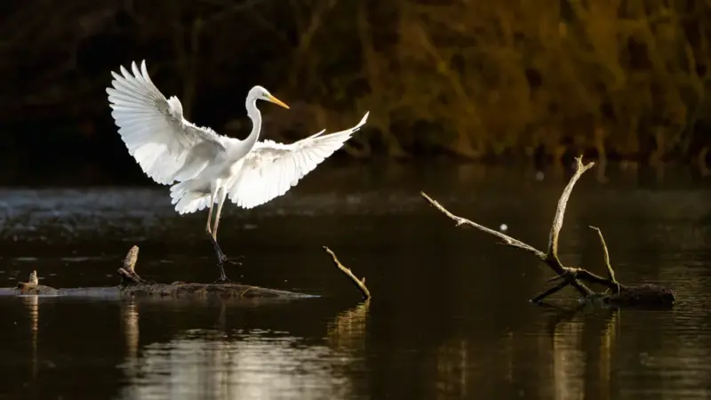 Nach Rathaus-Ausstellung: Ramin Mohabat bietet seine Fotos zum Kauf an