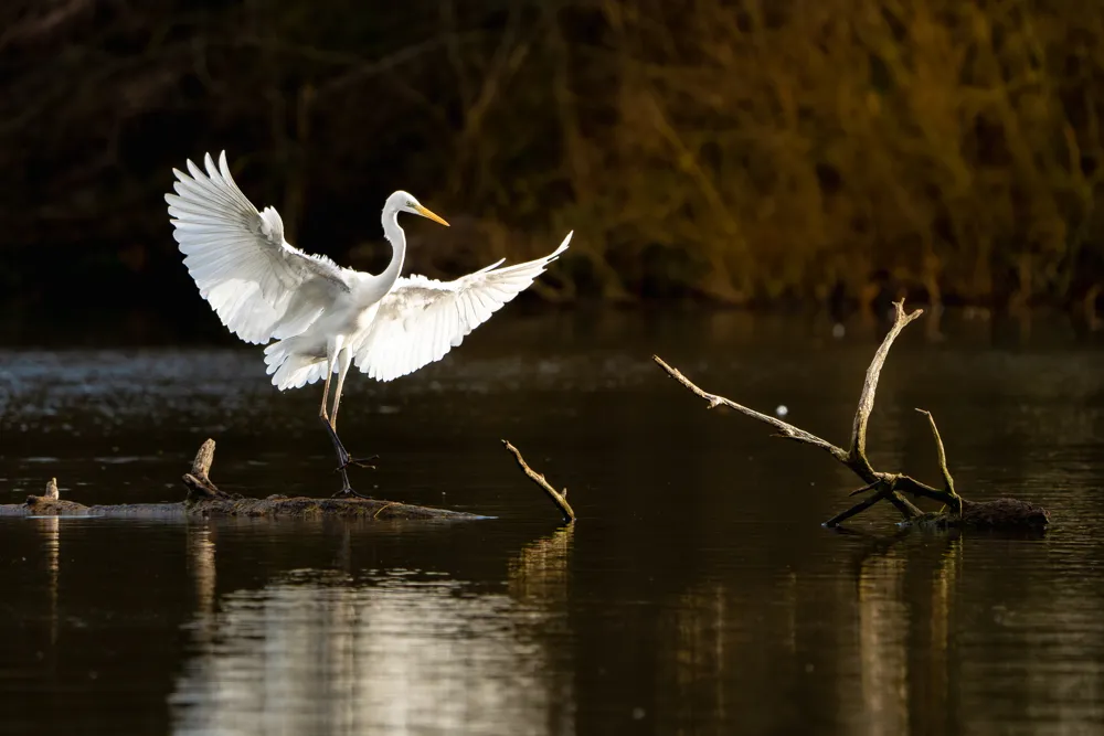 Nach Rathaus-Ausstellung: Ramin Mohabat bietet seine Fotos zum Kauf an