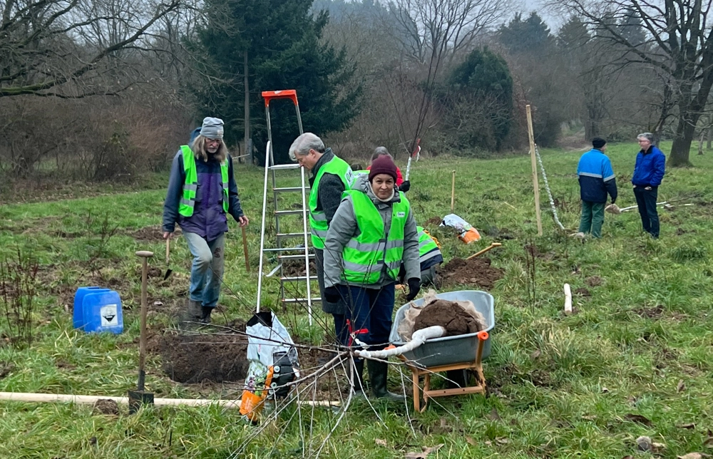 Vögel freuen sich: Naturschützer pflanzen Obstbäume in Vorderheide 2
