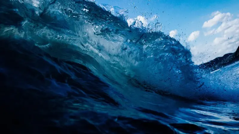 Wasser im Klimawandel: Vortrag und Diskussion in der Stadthalle