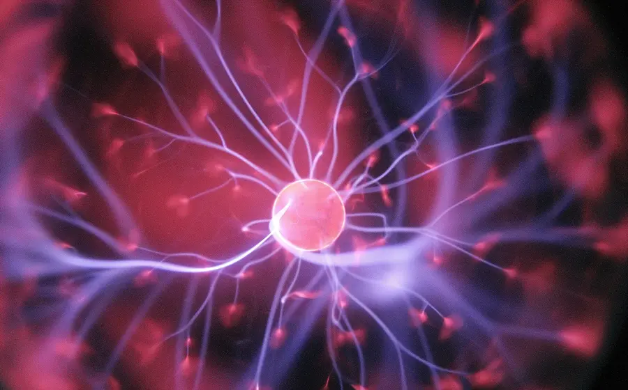 Gesund mit Felix (10): Warum das Nervensystem in der Osteopathie so entscheidend ist