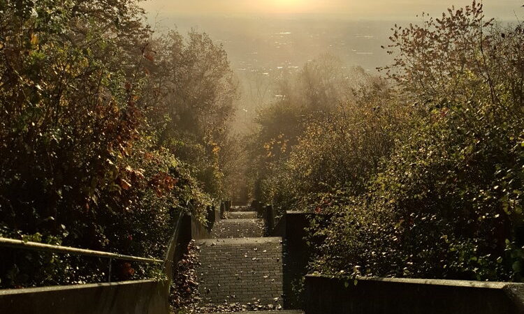 Die Sonne ist aufgegangen. Guten Morgen, Hofheim!