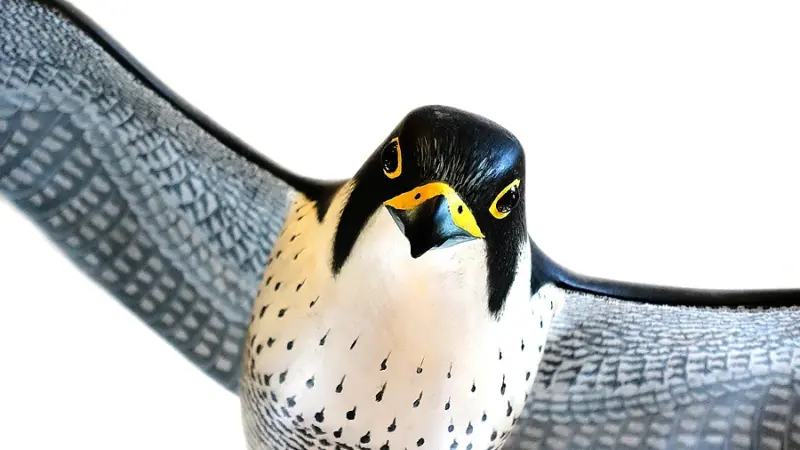 Falken-Attrappe abgelehnt – Magistrat: Zu riskant für Mensch und Stromleitung