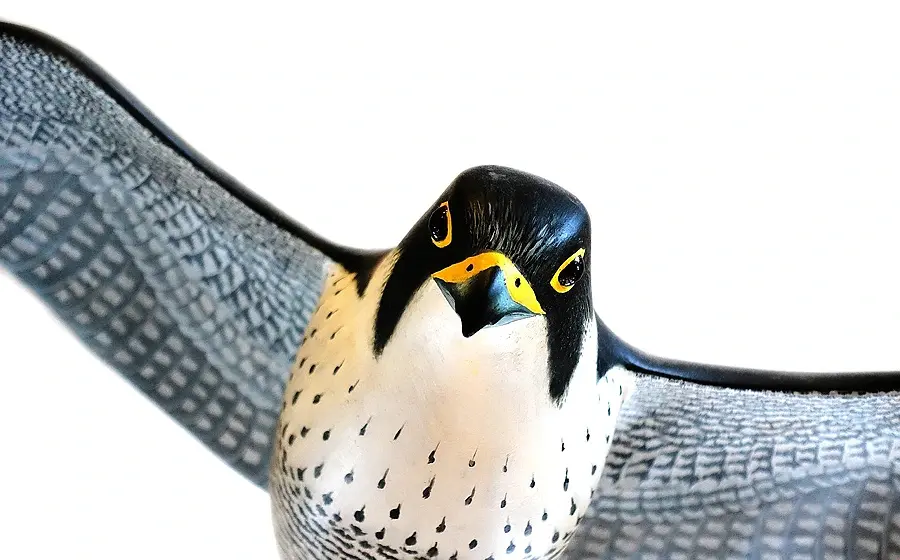 Falken-Attrappe abgelehnt – Magistrat: Zu riskant für Mensch und Stromleitung