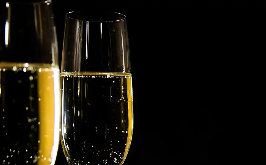 Premiere im Main-Taunus-Kreis: Neujahrsempfang der Linken