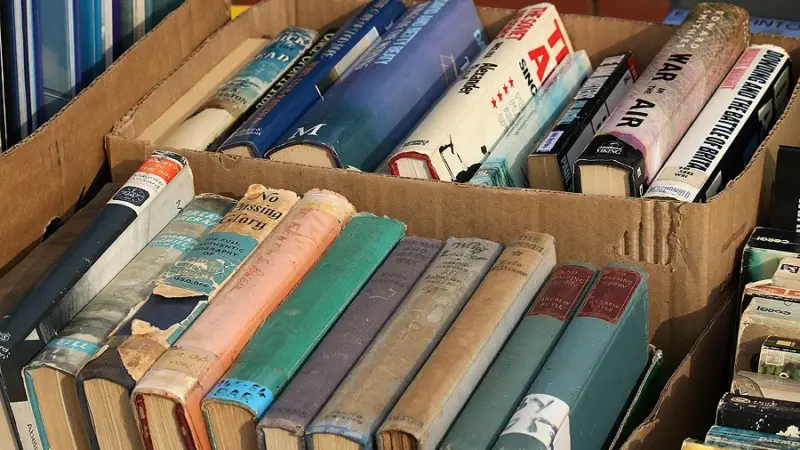 Schmökern & Schmecken: Bücher-Flohmarkt mit Café in Langenhain