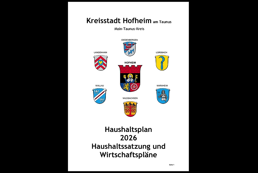 Die Linke: Hofheims Haushalt lief monatelang ohne Kontrolle