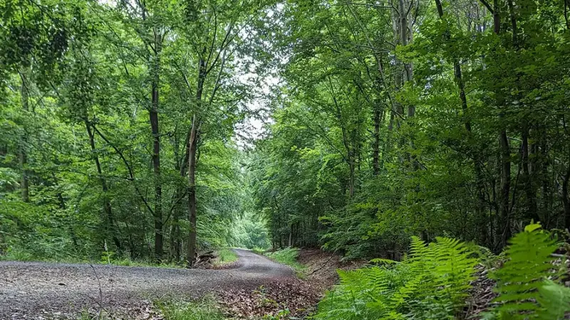 Es geht um den Stadtwald – CDU lädt zum Frühjahrsempfang ein
