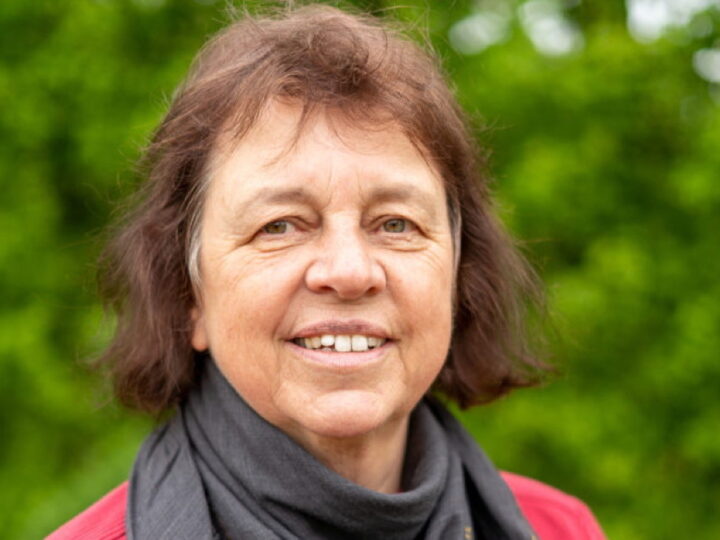 Von Vogt zu Schultze: Linke warnen vor Finanzchaos – und fordern jetzt Lösungen