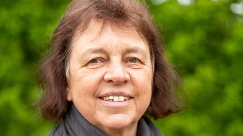 Von Vogt zu Schultze: Linke warnen vor Finanzchaos – und fordern jetzt Lösungen