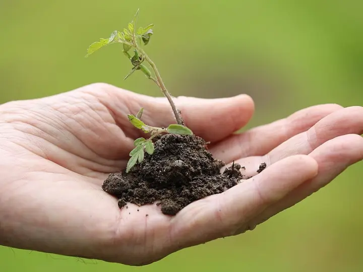 Kommunale Wärmeplanung: Stadt stellte die Ergebnisse öffentlich vor
