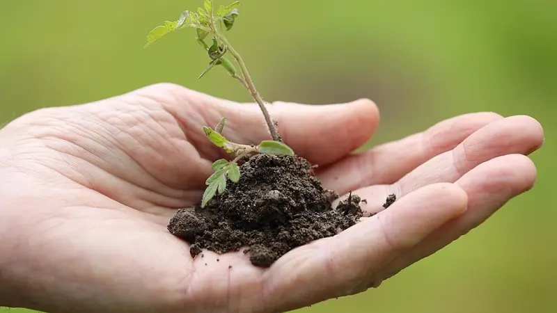 Kommunale Wärmeplanung: Stadt stellte die Ergebnisse öffentlich vor