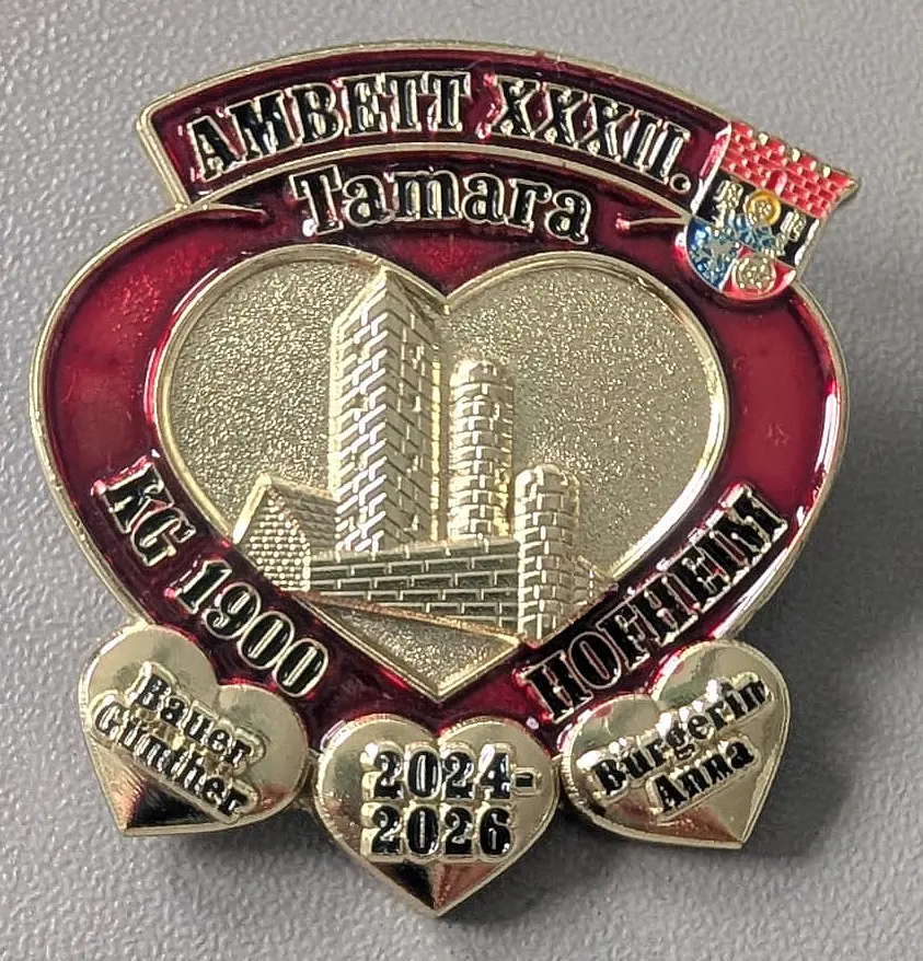 Fastnacht mit Herz: Ambet kämpft für Jungen, dessen Zeit begrenzt ist 4 Tobi Pin