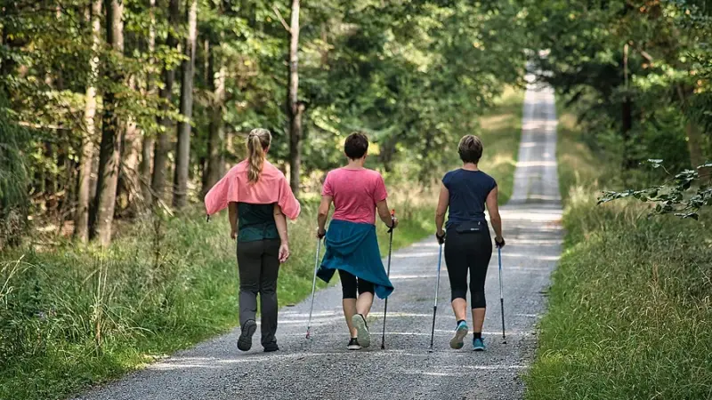 Auf nach Vockenhausen! Taunusklub Lorsbach lädt zur Wanderung ein