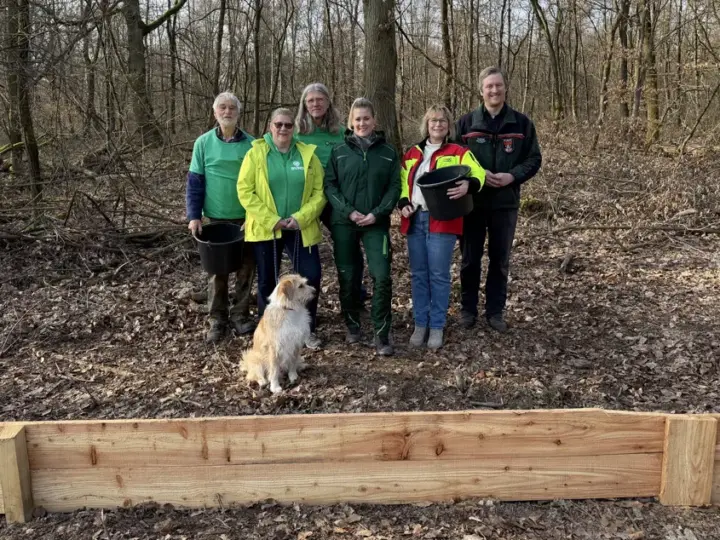 550 Meter langer Holzzaun soll Kröten vor Autoverkehr schützen