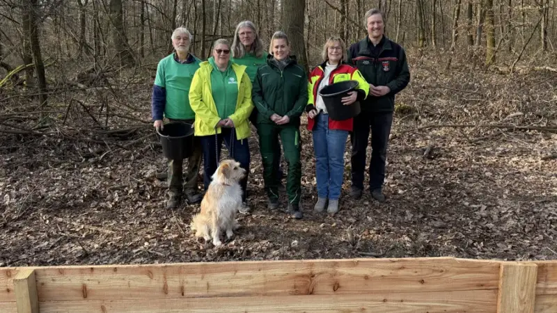 550 Meter langer Holzzaun soll Kröten vor Autoverkehr schützen
