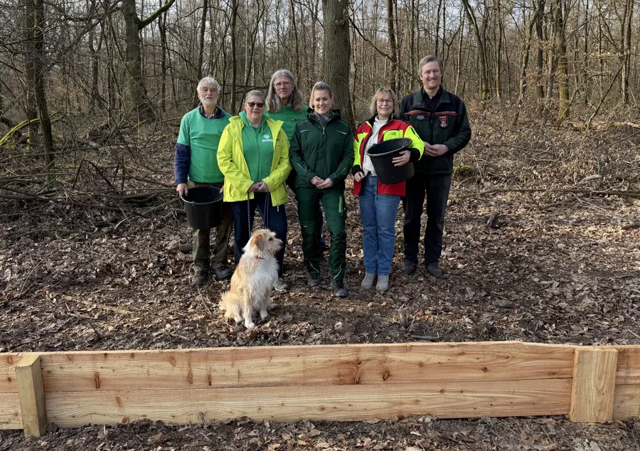 550 Meter langer Holzzaun soll Kröten vor Autoverkehr schützen