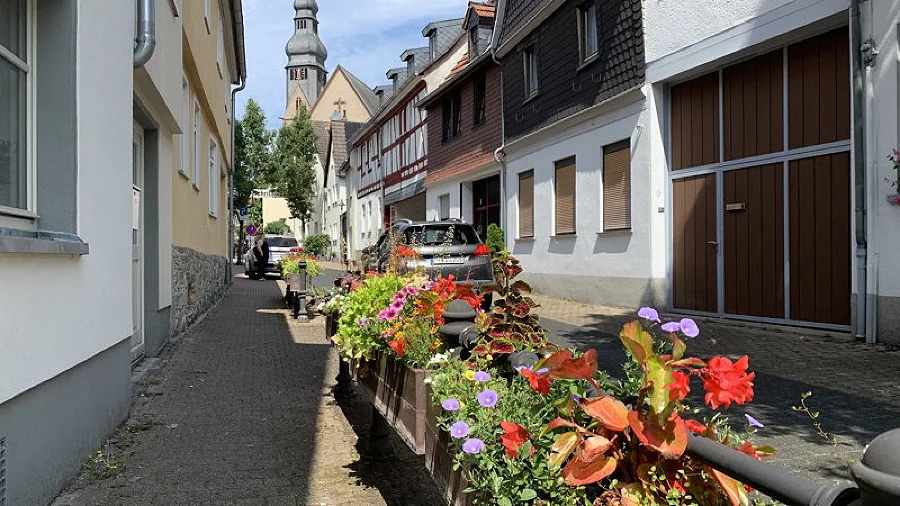 Blumenkästen voller Leben: Hofheimer setzt auf ehrenamtliches Engagement