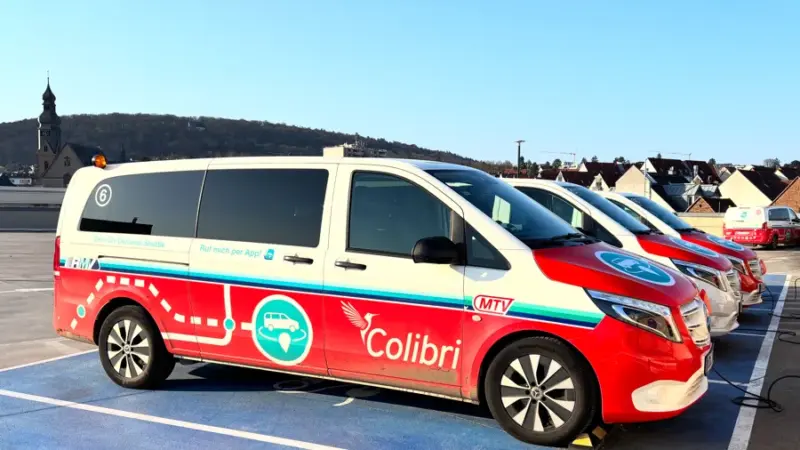 Colibris in Gefahr? Stadt kann Rechnungen in Millionenhöhe nicht bezahlen