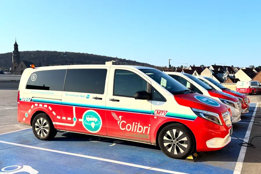 Colibris in Gefahr? Stadt kann Rechnungen in Millionenhöhe nicht bezahlen