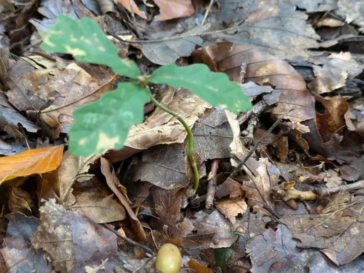 Mit dem BUND die Natur entdecken – für Kinder von 7 bis 9 Jahren