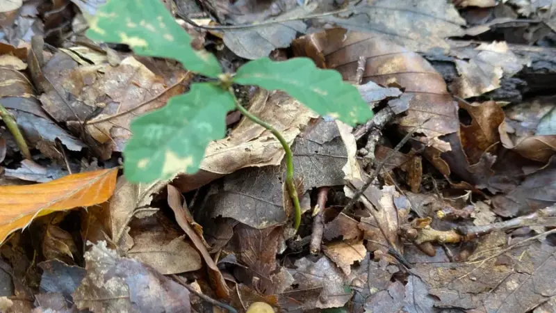 Mit dem BUND die Natur entdecken – für Kinder von 7 bis 9 Jahren
