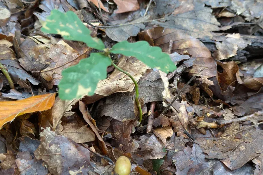 Mit dem BUND die Natur entdecken – für Kinder von 7 bis 9 Jahren