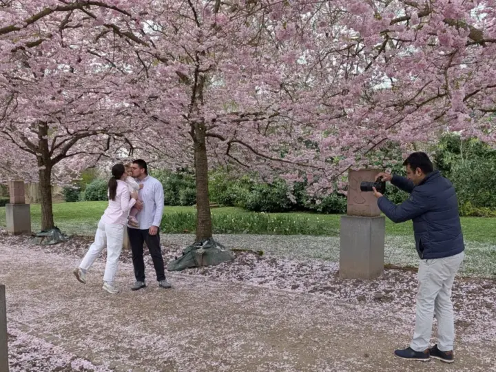 Wenn Hofheim aufblüht: Fotoshooting unter rosa Kirschblüten