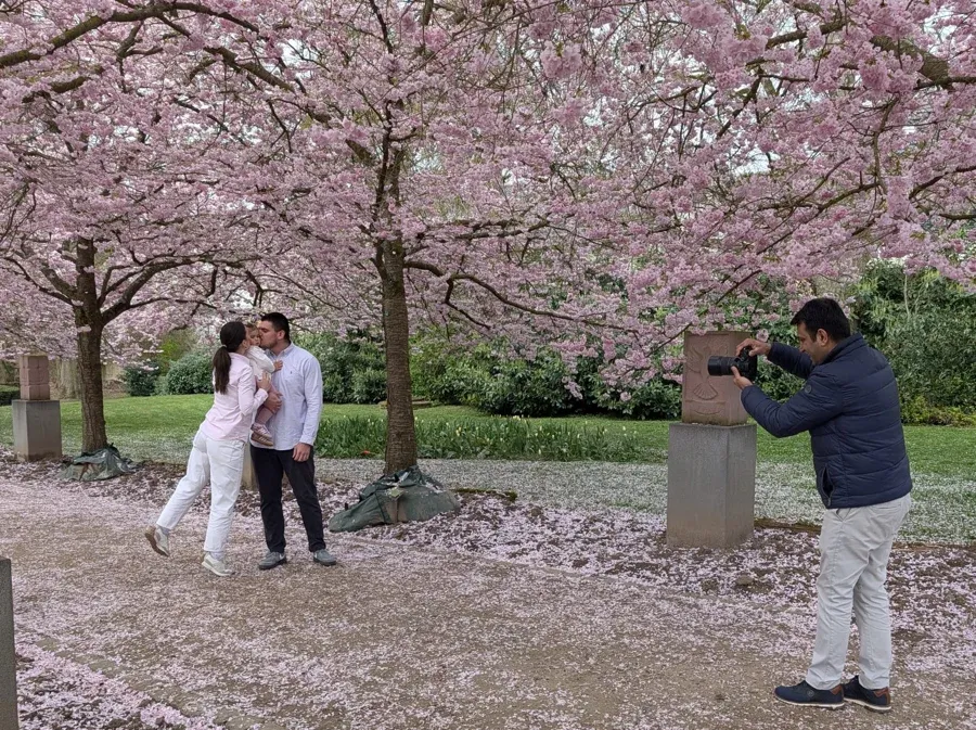 Wenn Hofheim aufblüht: Fotoshooting unter rosa Kirschblüten