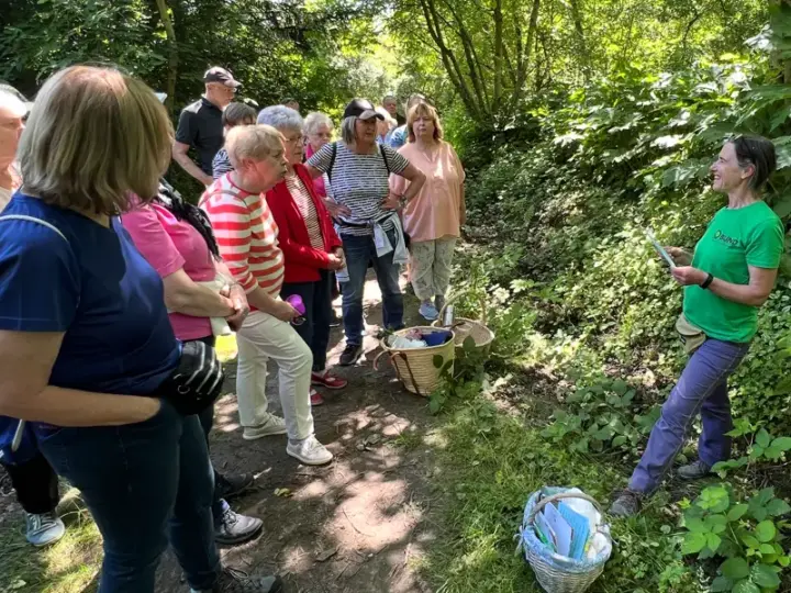 Frühling zum Anfassen: Kräuter entdecken bei Spaziergang durch Langenhain