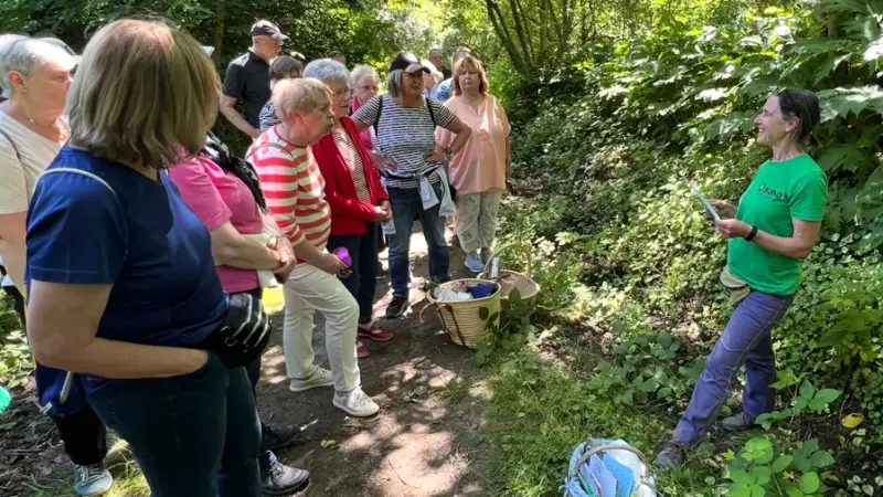 Frühling zum Anfassen: Kräuter entdecken bei Spaziergang durch Langenhain