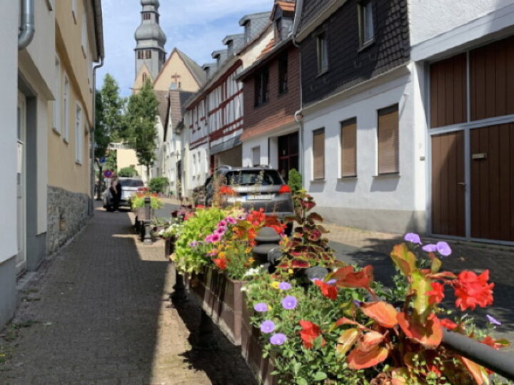 Gemeinsam für mehr Grün: Hofheimer laden zum Pflanztag in der Innenstadt ein