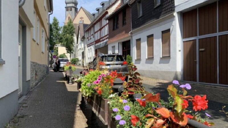 Gemeinsam für mehr Grün: Hofheimer laden zum Pflanztag in der Innenstadt ein