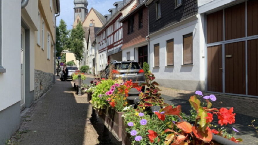 Gemeinsam für mehr Grün: Hofheimer laden zum Pflanztag in der Innenstadt ein