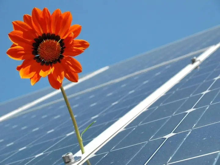 Hofheim setzt auf Solar – auch die Trauerhalle wird zur Stromquelle