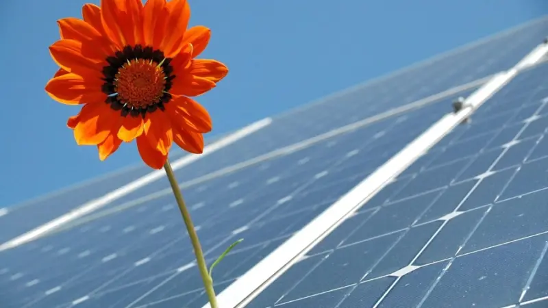 Hofheim setzt auf Solar – auch die Trauerhalle wird zur Stromquelle