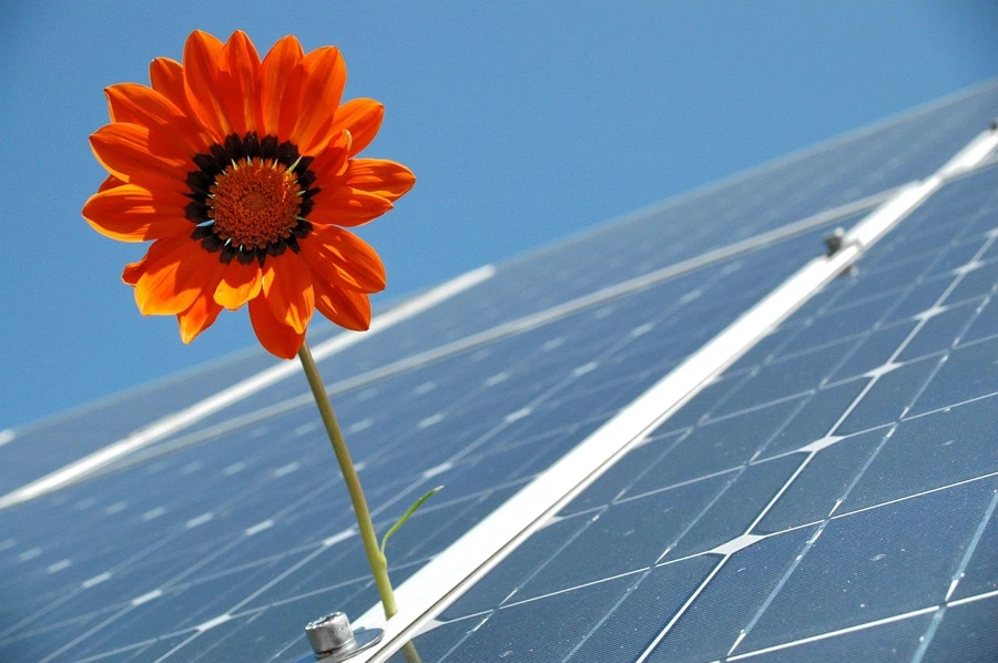 Hofheim setzt auf Solar – auch die Trauerhalle wird zur Stromquelle
