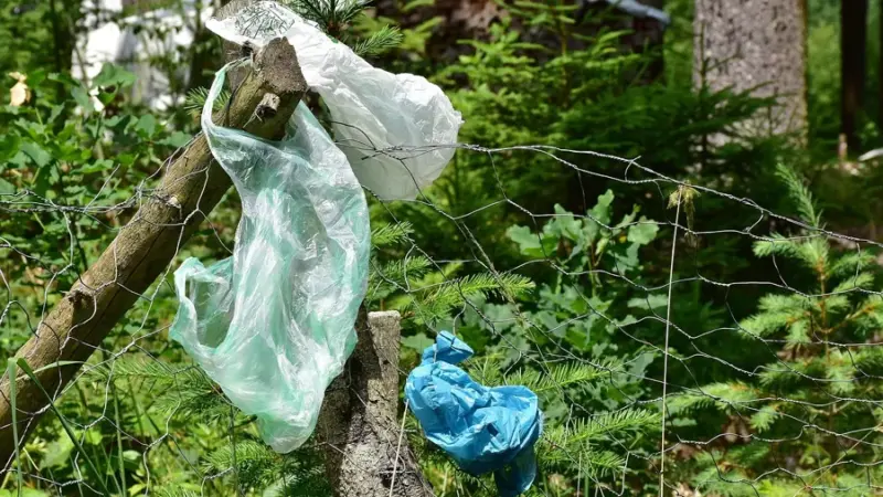 26 Mülleimer weg: Jetzt erklärt die Stadt die Wald-Sparmaßnahme