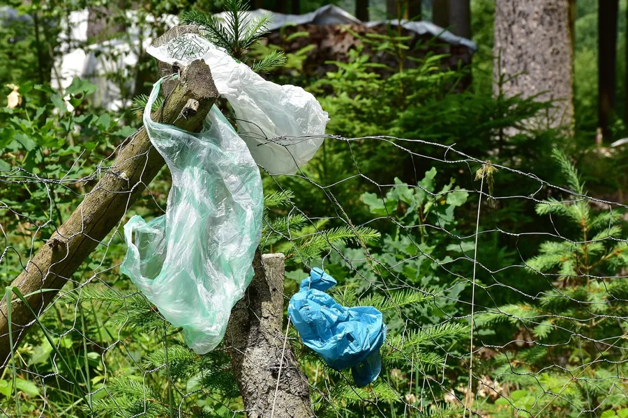 26 Mülleimer weg: Jetzt erklärt die Stadt die Wald-Sparmaßnahme