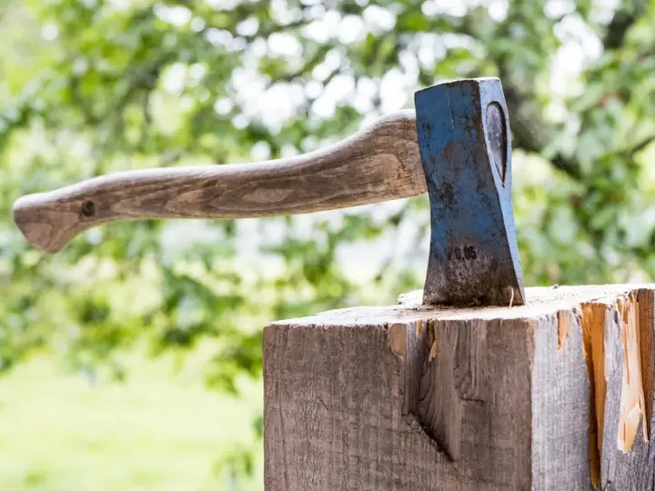 Am Spielplatz an der Viehweide: Bäume mussten gefällt werden