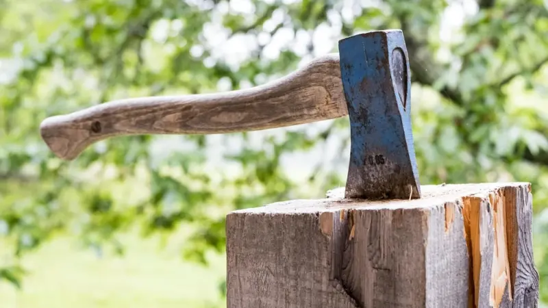 Am Spielplatz an der Viehweide: Bäume mussten gefällt werden
