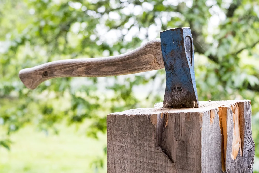 Am Spielplatz an der Viehweide: Bäume mussten gefällt werden